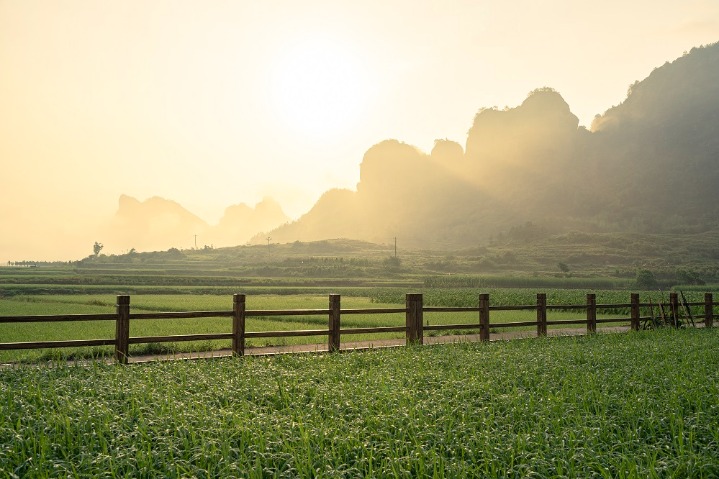 Thriving fields shrouded in morning mist at a mountain’s foot