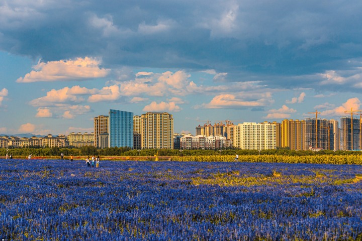 Baotou: a steel city in the grassland seeking green development