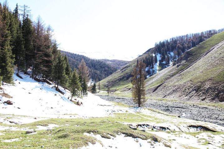 Snowy plateau landscape makes up special summer views