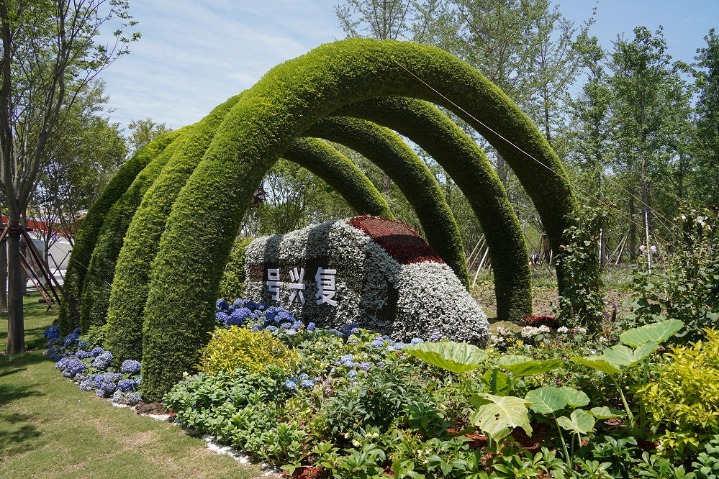 Flower expo adds to local summer joys