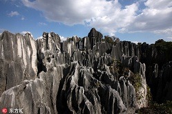 Stone Forest, Kunming