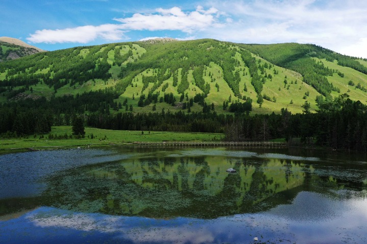 Kanas scenic area in Xinjiang sees tourist boom