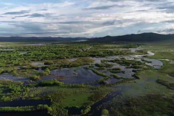 A summer date with Ergune Wetland