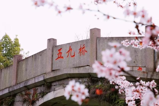 Hangzhou names 10 West Lake, Xixi Wetland red tourism spots