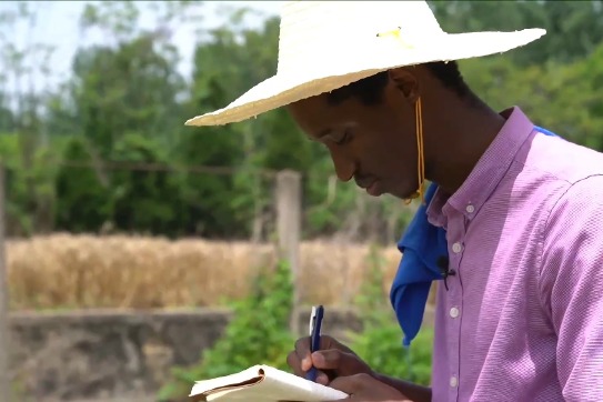 Overseas students get agricultural know-how in China