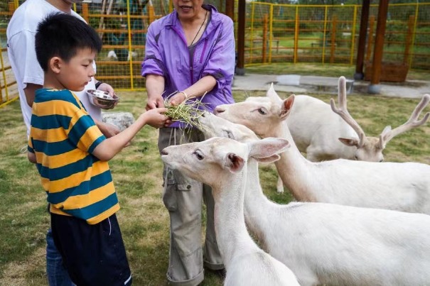 Animal culture themed resort opens in Nanjing