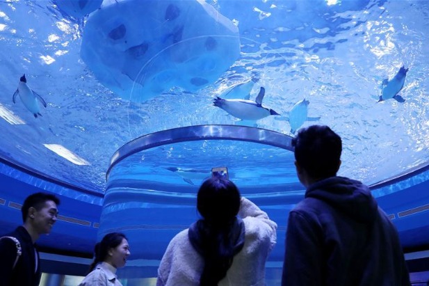 Haichang Ocean Park aims for nighttime tourism