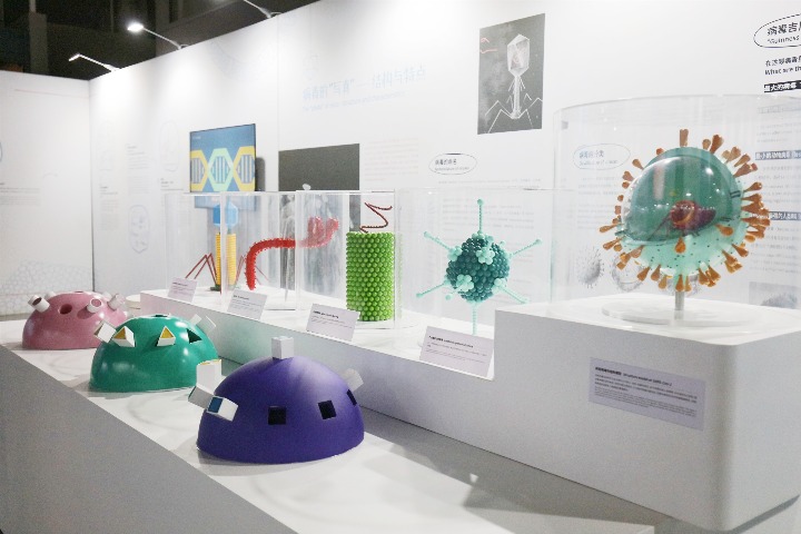 Museum popularizes virus-related knowledge