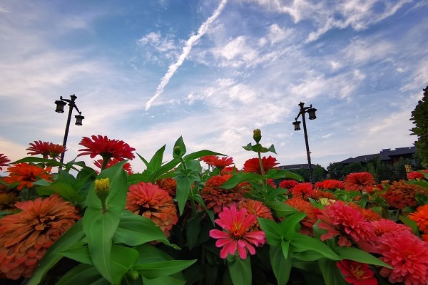 Qujiang Lake Heritage Park a great place to cool off in summer