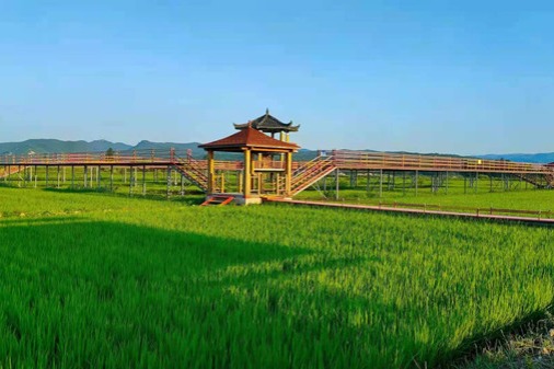 Rice farming, agritourism in Jilin boost villagers' incomes