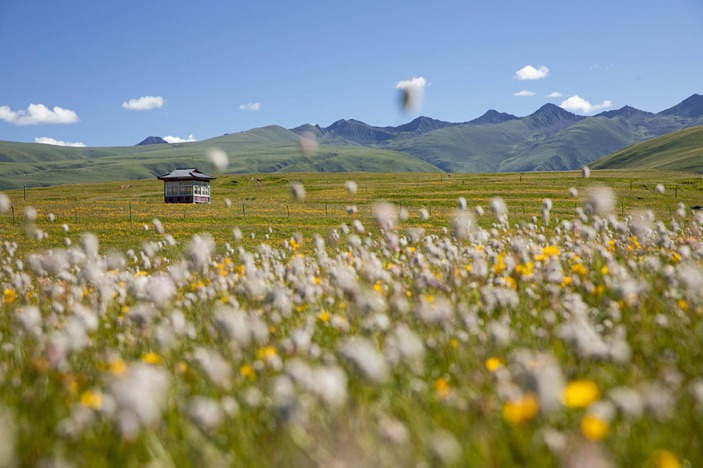 Plateau landscapes relax tourists’ spirits