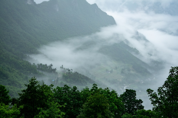 Chongqing nature reserve added to Shennongjia world heritage site