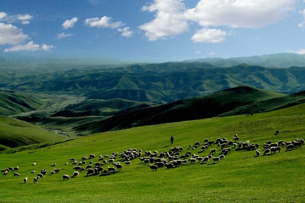 Inner Mongolia's Chunkun Mountain dazzles in summer