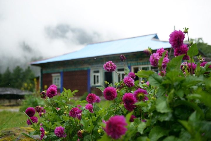 Homestays create a way to wealth for remote Tibet county