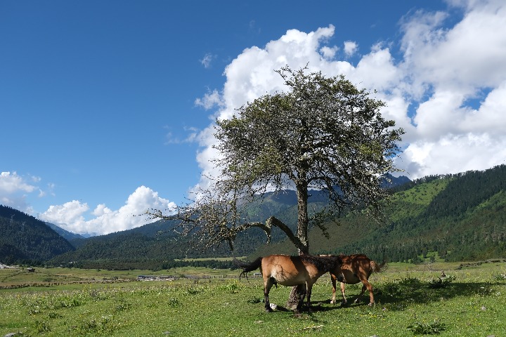 Tibet township reaping rewards from tourism boom