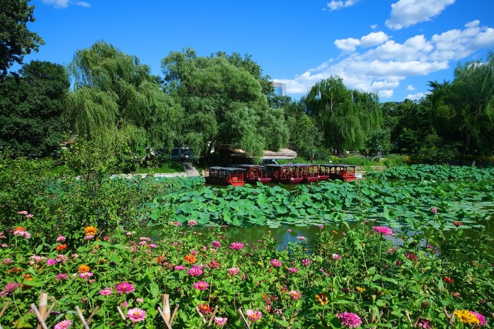 Renowned park shines with summer charm in Beijing