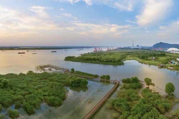 Restoration efforts turn polluted park into green jewel