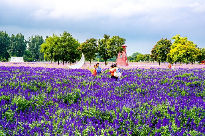 River-shore garden adds color to the  seasonal beauty of Beijing