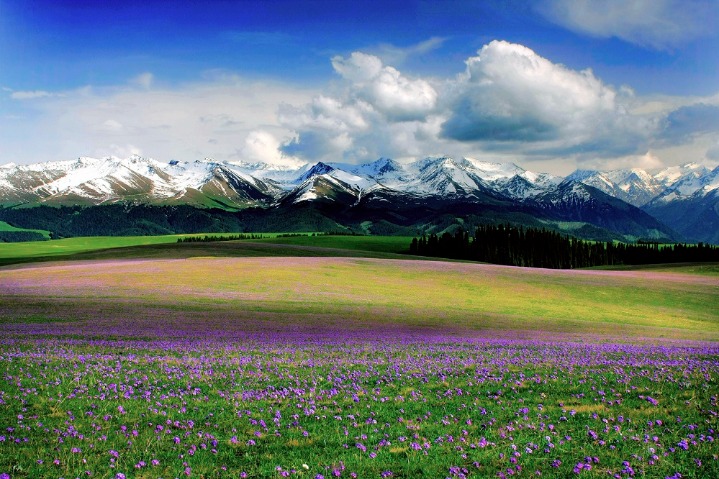 Charming plateau scenery of the Ili River Valley