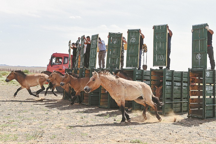 White paper highlights biodiversity experience