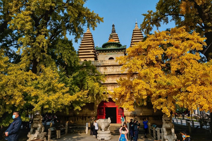 Autumnal charms add color to Beijing Stone Carving Art Museum