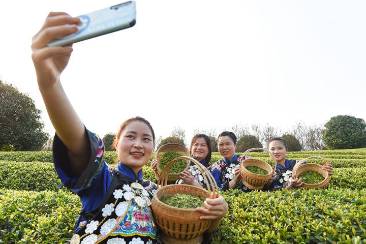 China's Guizhou offers millions in e-coupons to boost tourism