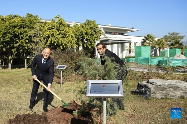 China donates 7,000 saplings to support Pakistan's efforts in environmental protection