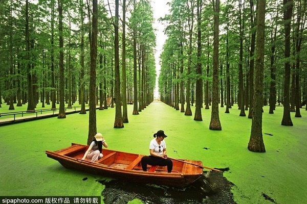 Ecological tourism revitalizes Jiangsu's wetland park