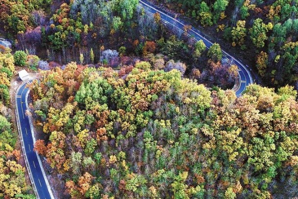 Beijing to become greener this year