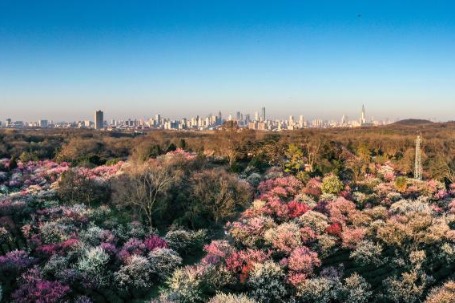 East China's Jiangsu sees record low PM2.5 density