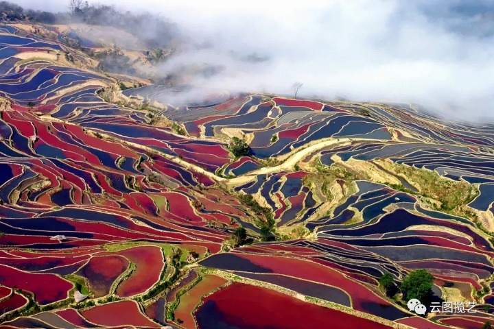 Admiring breathtaking views of the Hani terrace in Yunnan exhibit