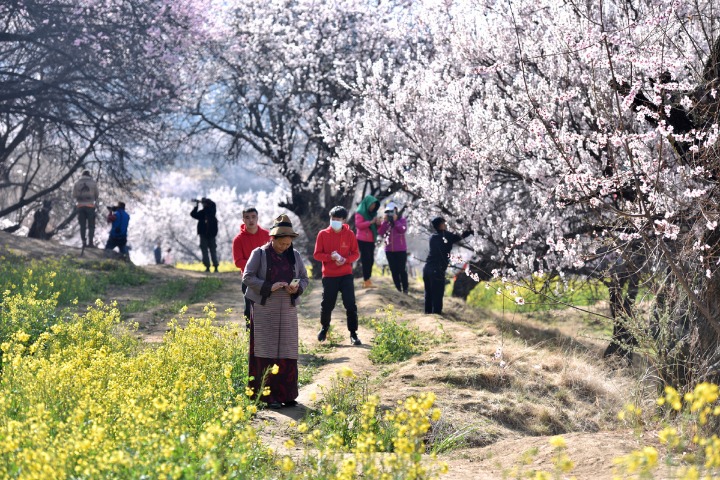 Tibet tourism doubles in last five years