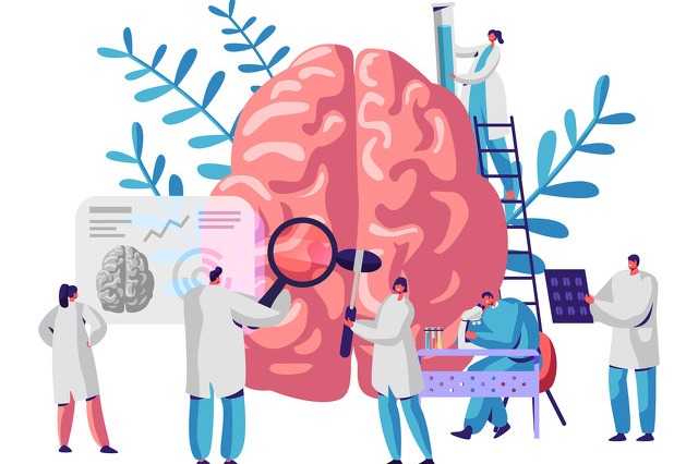 Brain study by Chinese researchers published in <em>Science</em> journal