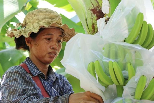 Chinese investment in Cambodia rises in 2021 despite pandemic