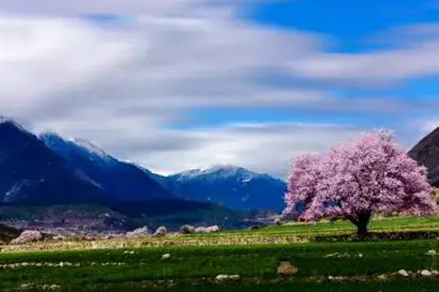 Guangzhou exhibit unveils snapshots of Nyingchi nature scenes