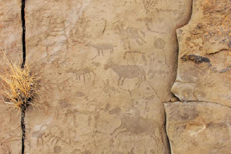 New rock drawings discovered in Ningxia