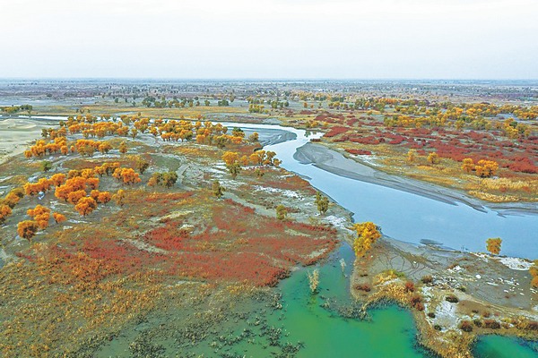 Green shoots of recovery sprout in once-parched forest