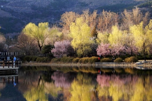 Beijing parks see rise in visitors during holiday