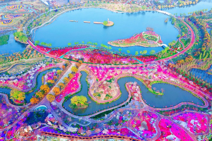 Island surrounded by sea of beautiful flowers