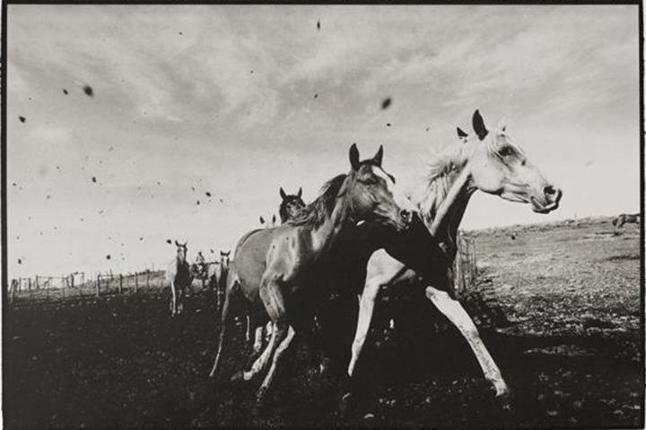 Photos of South American ‘gauchos’ on exhibit in Beijing