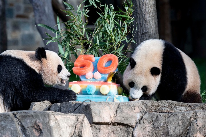 Smithsonian zoo in US celebrates 'Pandaversary'