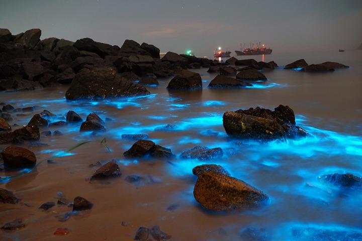 ‘Blue tears’ illuminate waters of Pingtan Island