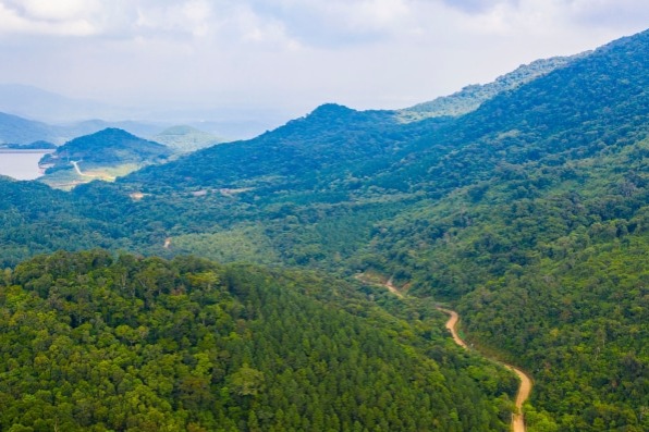 Peering into China's national park construction from Hainan