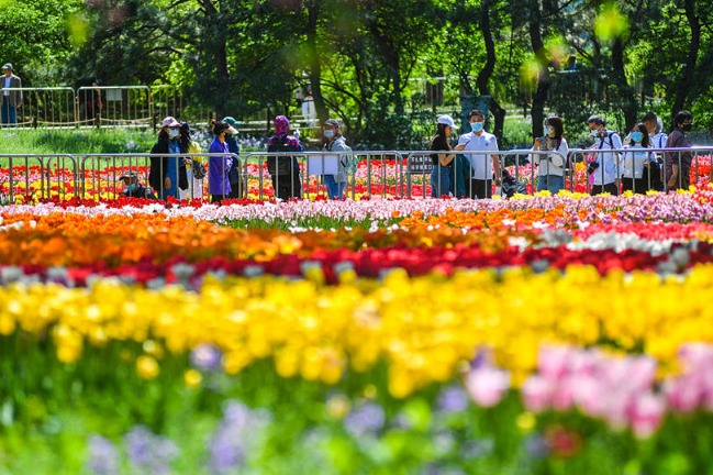 Flowers bloom at National Botanical Garden