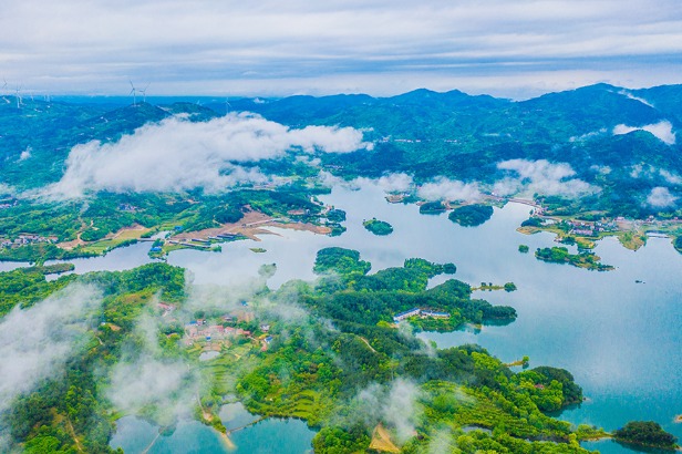 Ecological area resembles wonderland when shrouded in mist