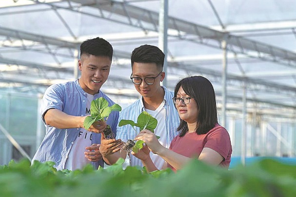 Farmer from HK finds feet on mainland soil