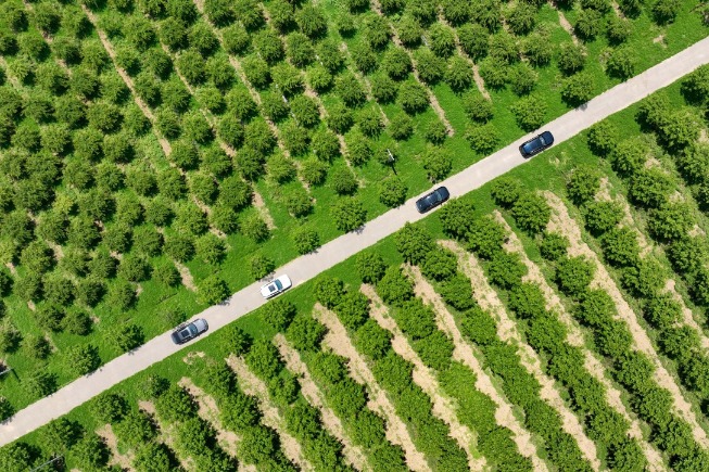 Countryside road trips hot amid Beijing's epidemic control during May Day holiday