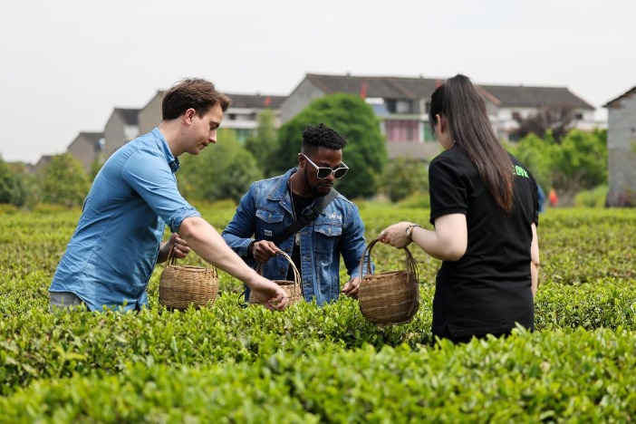 Tea brings shared prosperity in Shaoxing