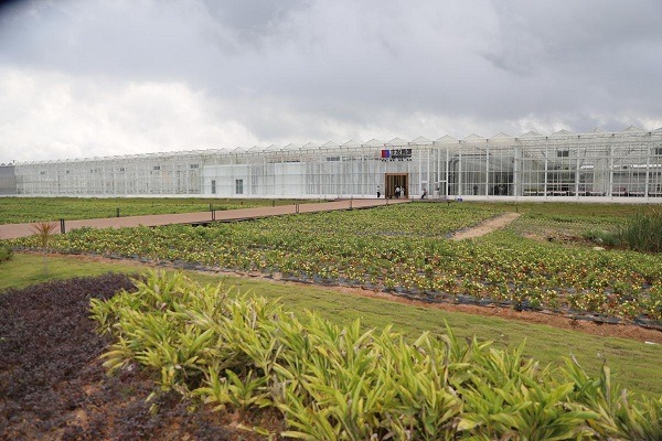 HK, Zhuhai, Macao modern agri-park to open in July