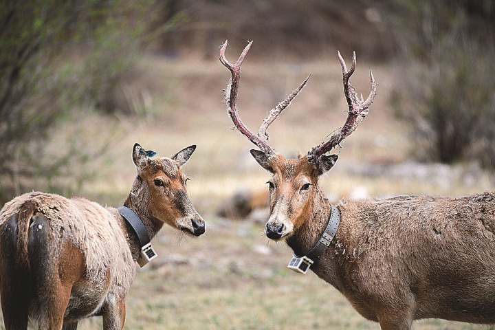 Guizhou slated to get new national park